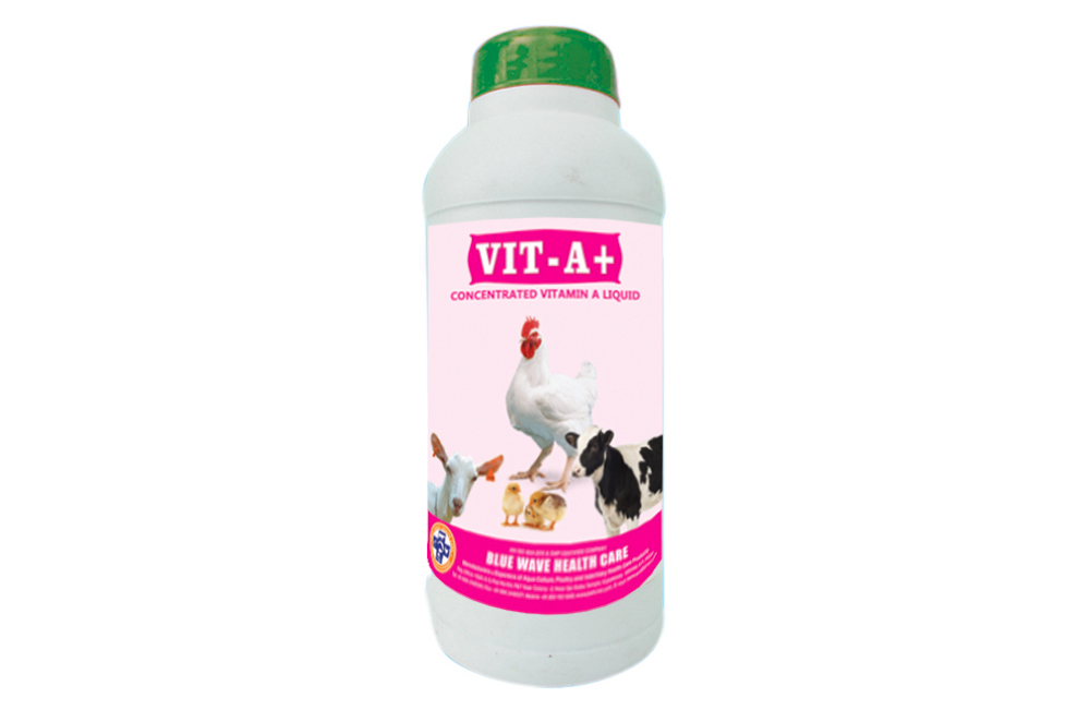 VIT - A+ (Concentrated Vitamin A Liquid)